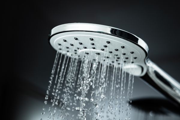 Cost of Shower Head Replacement in Littleton