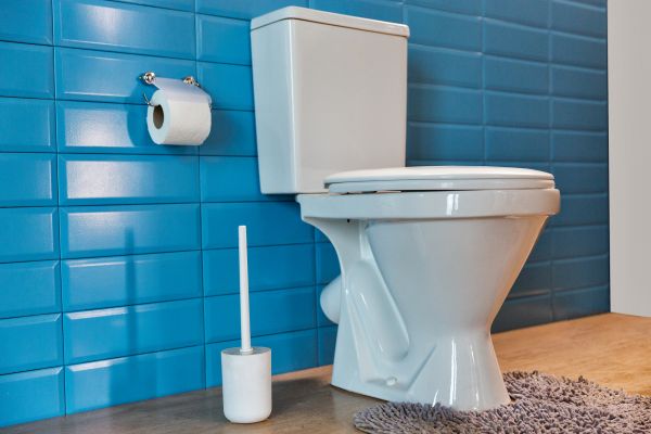 Cost of Toilet Tank Repair in Littleton
