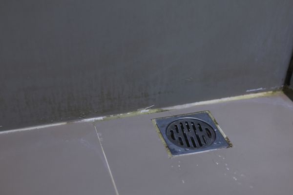 Bathroom Drain Installation in Littleton