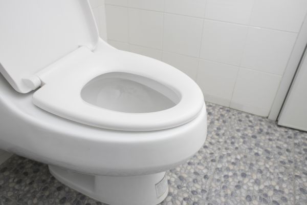 Cost of New Toilet Installation in Littleton